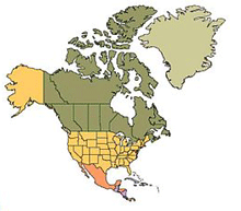 north america