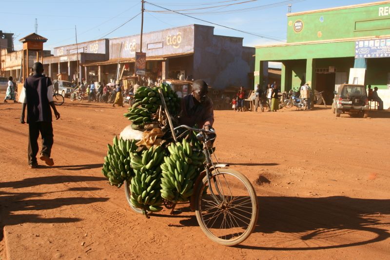 afrikahrvoje