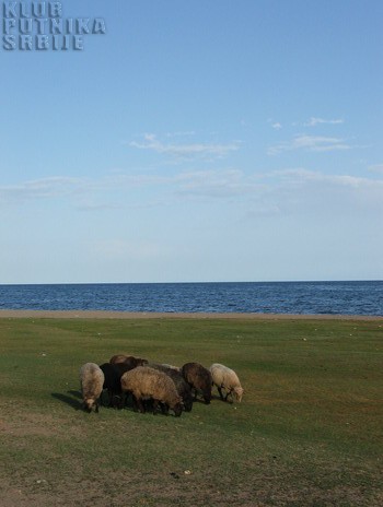 tamchi, issyk kul
