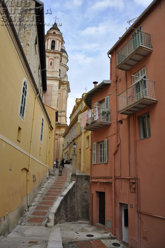 menton