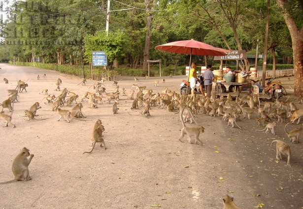 thailand