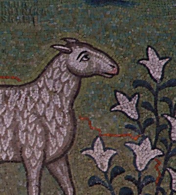 San Apollinare in Classe