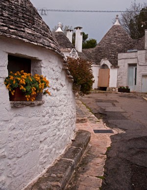 alberobelo