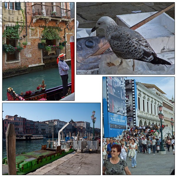 Venecija