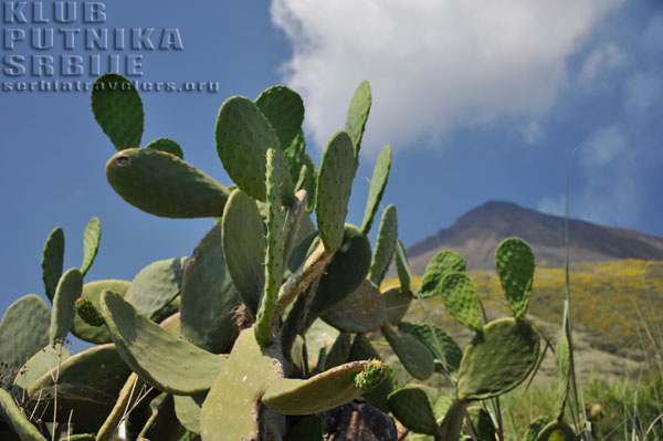 Stromboli