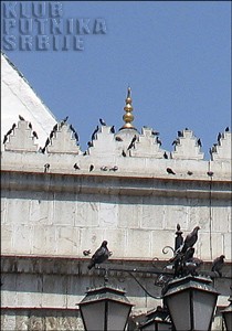 IMG_80971.jpg
