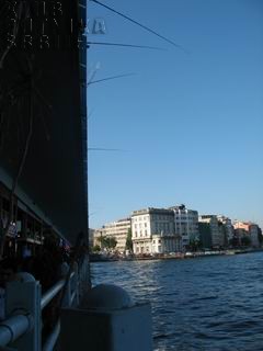Resize of Rotation of IMG_6242.JPG