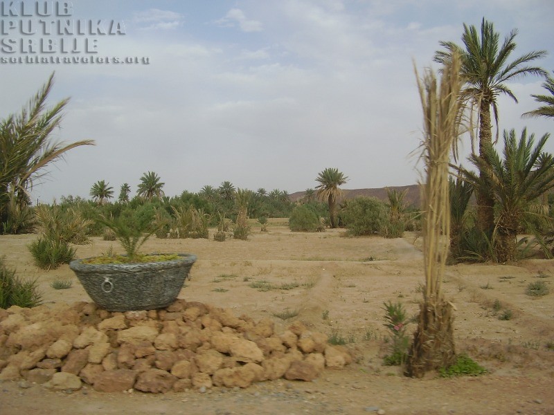 desert, pustinja