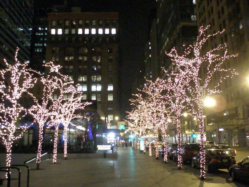 Chicago nights 2