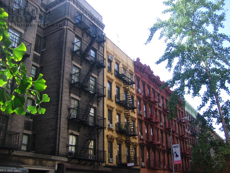 soho4