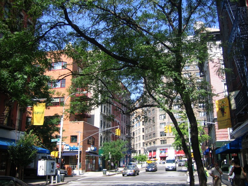 soho5