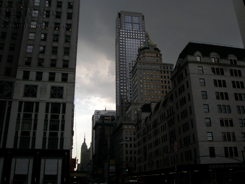 gotham1