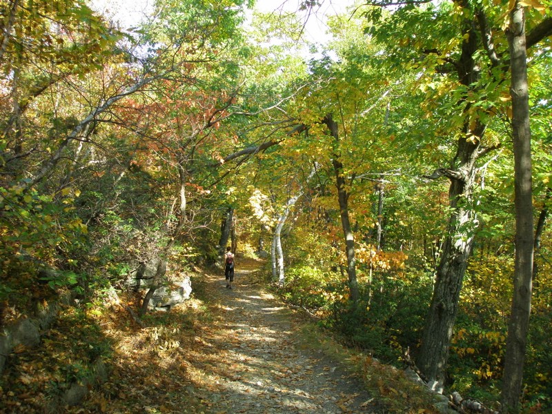 Minewaska5