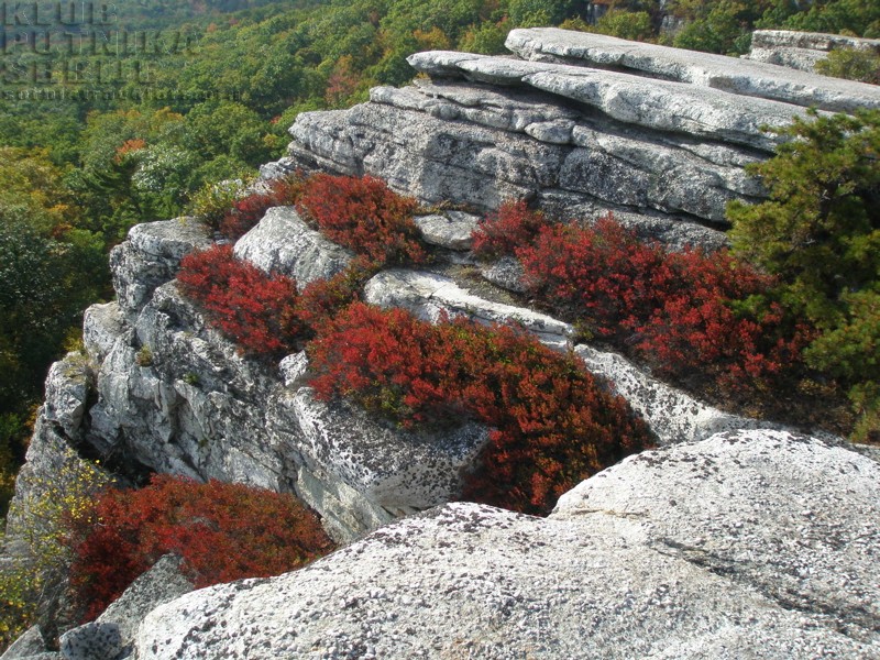 Minewaska6