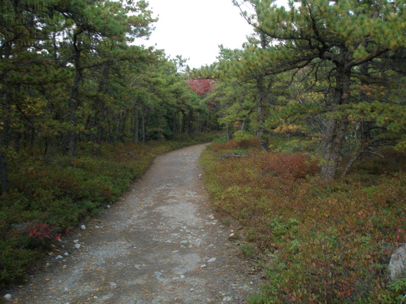 Minewaska7