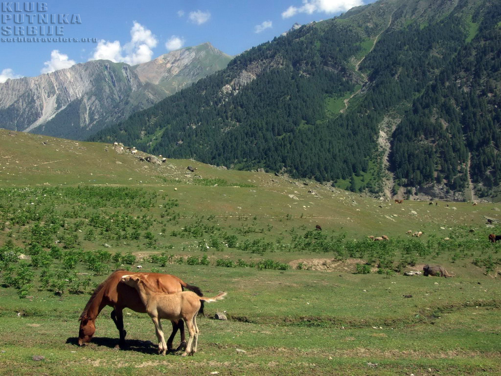raj-na-zemlji-4