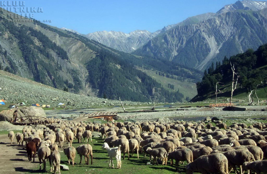 raj-na-zemlji
