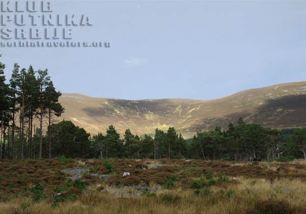 Rothiemurchus
