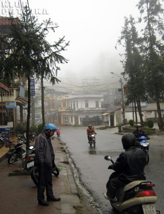sapa