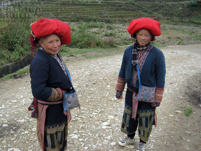 zene-sapa