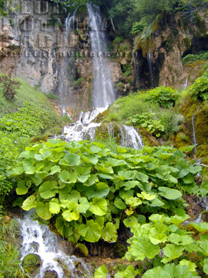 sopotnica vodopad