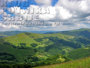 besna kobila
