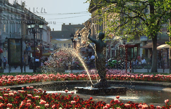 novi sad novi sad dunavska ulica