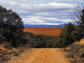 camino-thumb.jpg