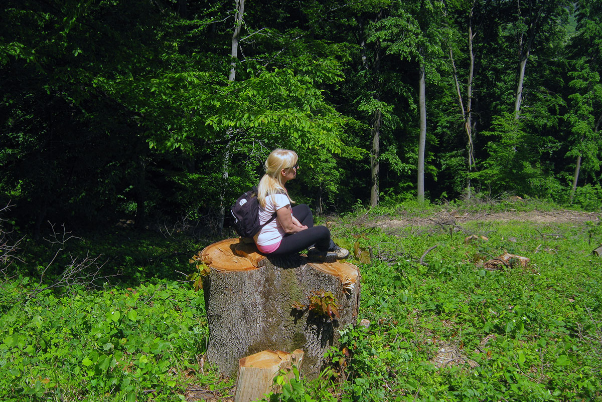 seca fruske gore 02