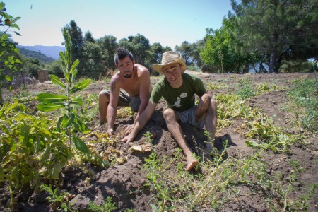 WWOOF: Volontiranje na organskim farmama širom sveta