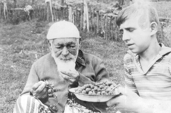 meho hadzic tesanj