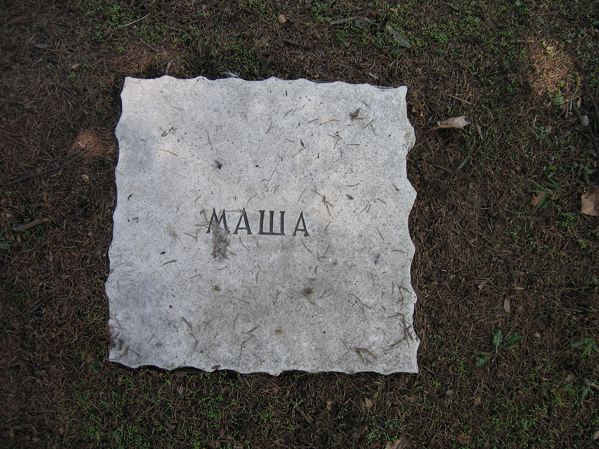 Ode naš Miška