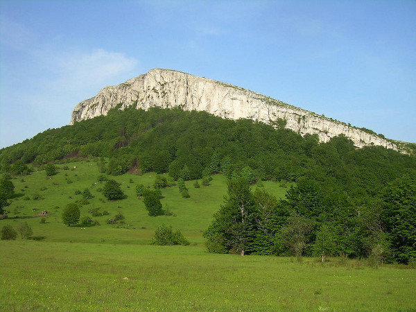 borskistol