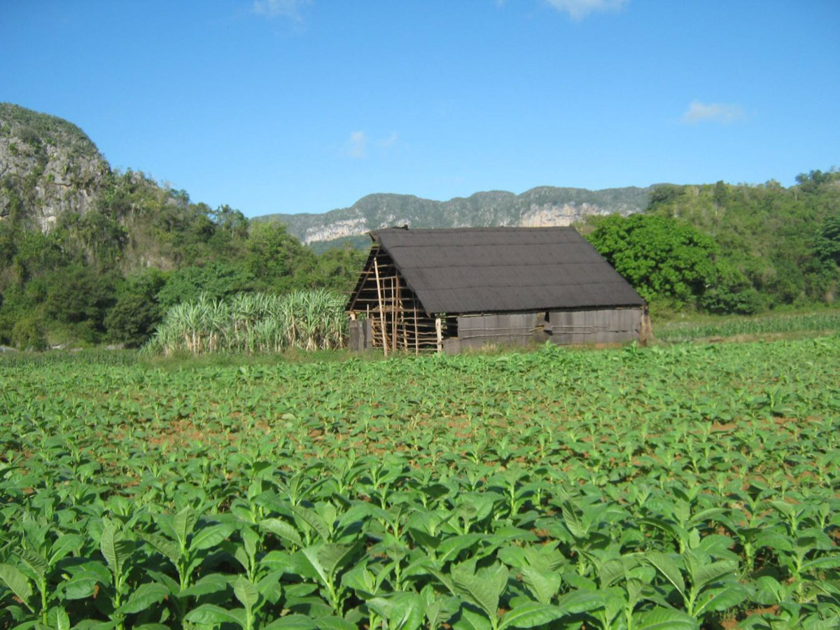 Putopis-Kuba8