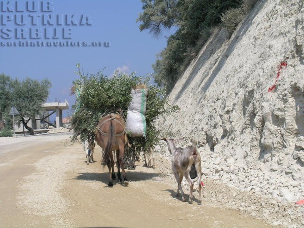 Albanija, životinje