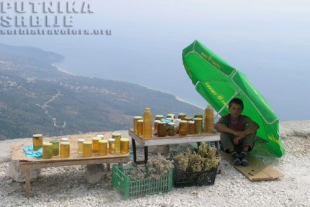 Albanski safari