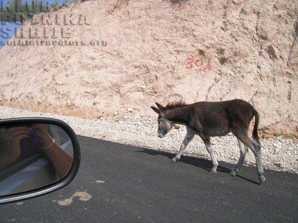 Albanija, put