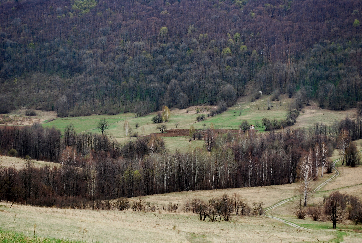 beljanica