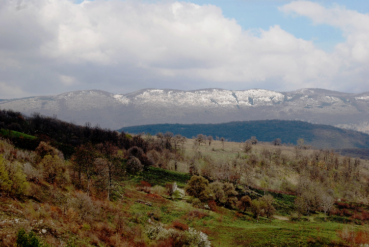 beljanica