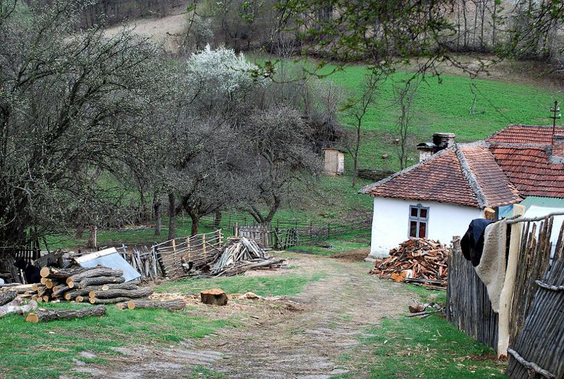 makviste