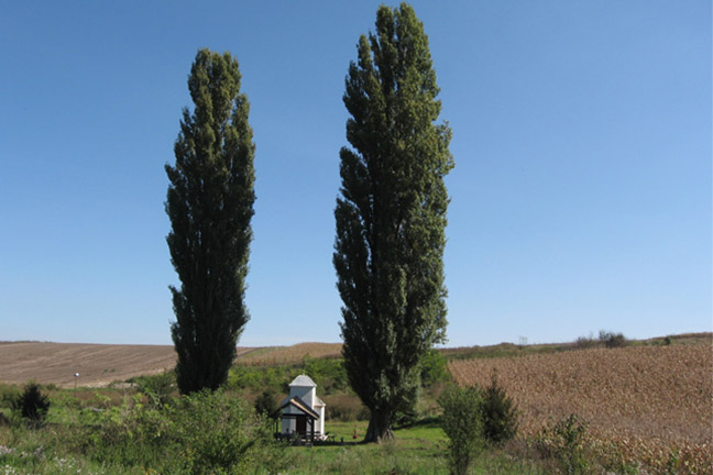 Biciklom do Beške
