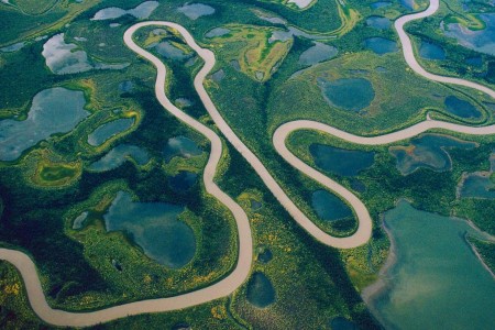Delta amazona