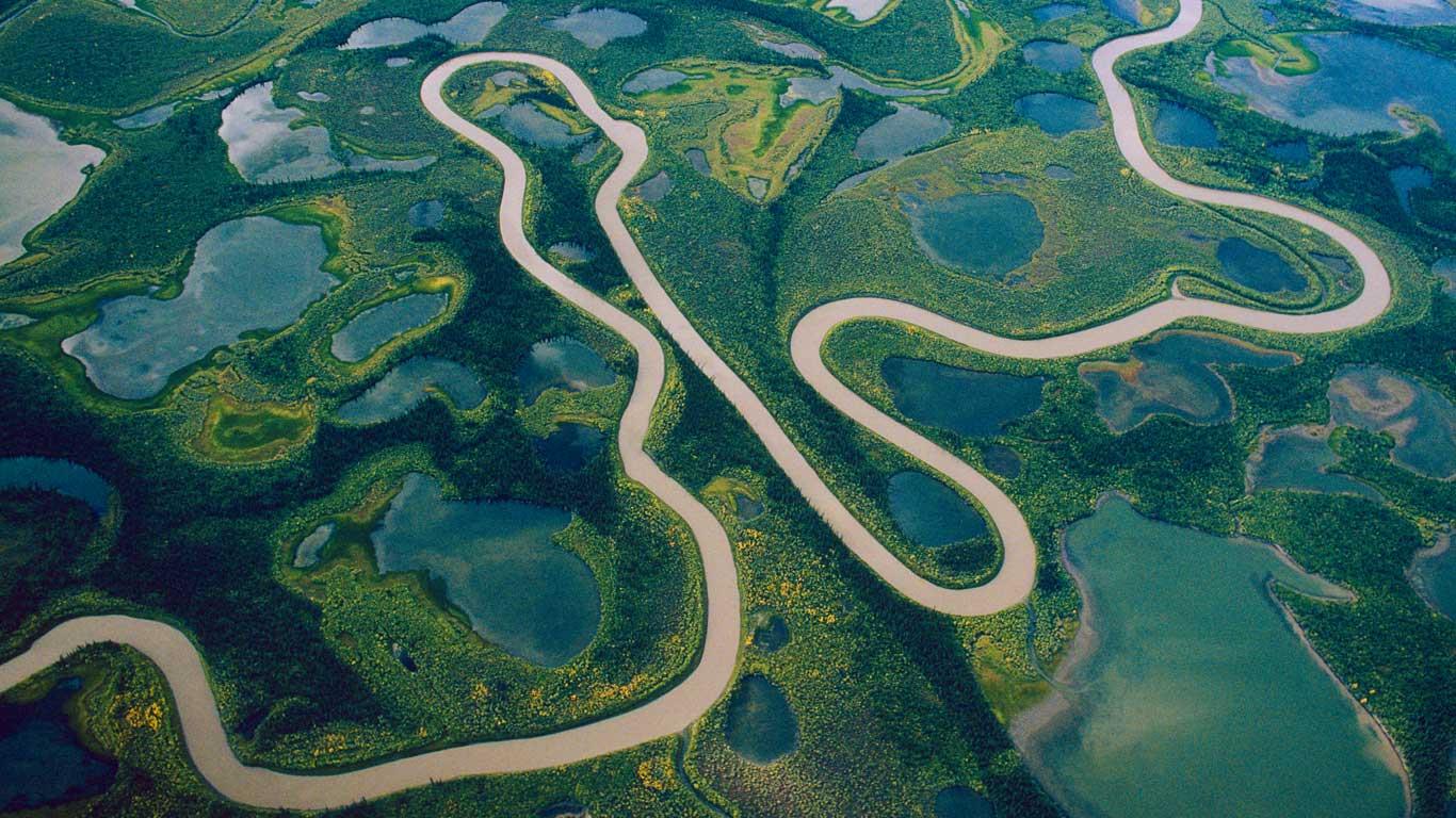 Delta amazona