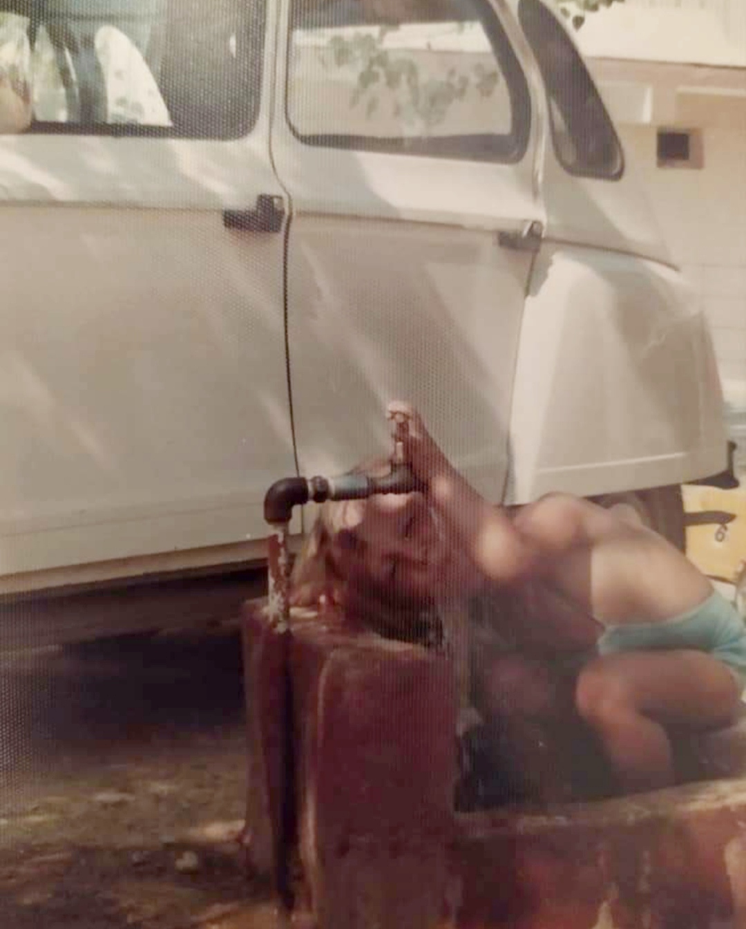 dijana auto 02