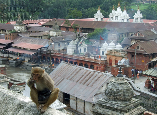 pashupatinat pashupatinat