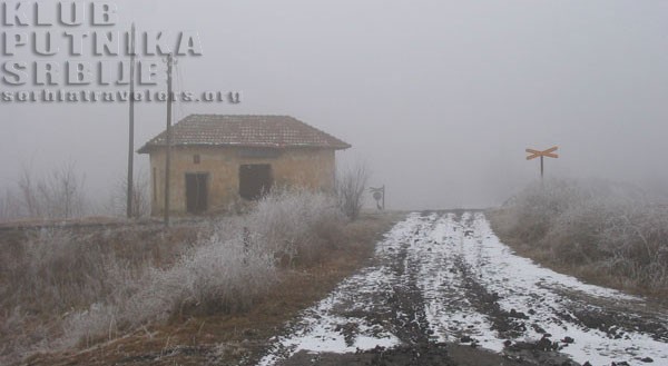 arača