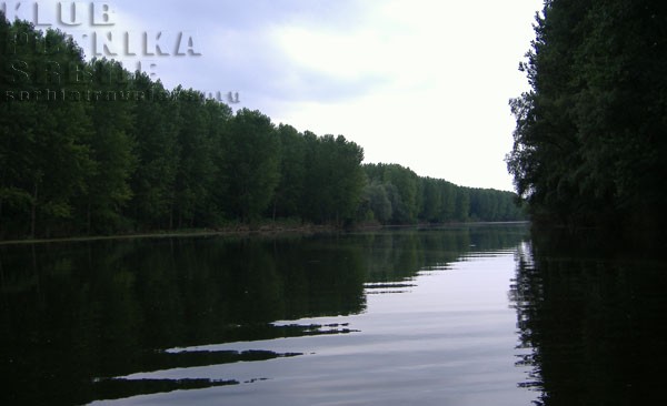 arkanj, koviljski rit