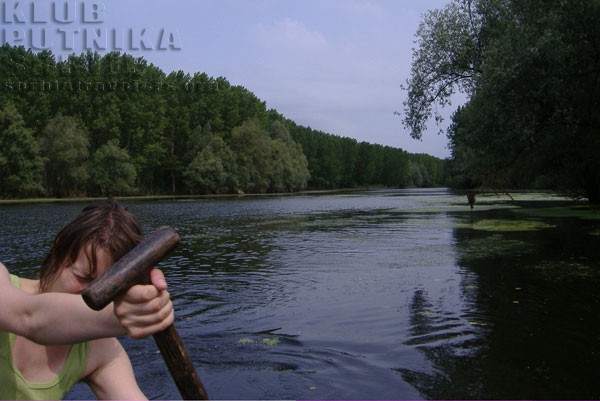 arkanj, koviljski rit
