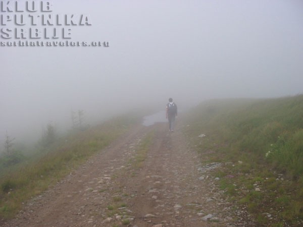 besna kobila