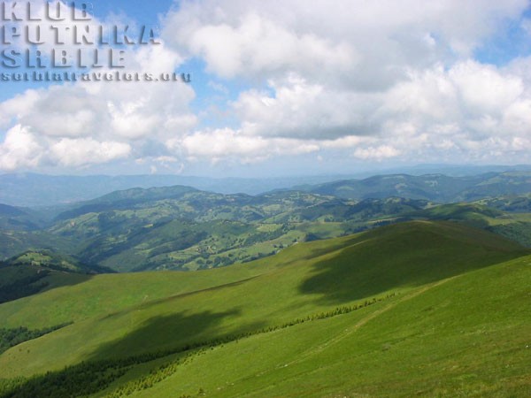 besna kobila